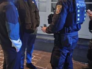 I přes zákaz to v ulicích bouchalo jako u Bachmutu. Strážníci řešili 169 událostí