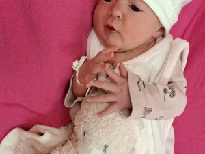 Krásná Anastazie je prvním letošním miminkem narozeným v krajských nemocnicích