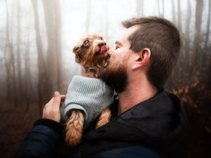 Slepý jezevčík Brex živořil v otřesných podmínkách, teď hledá nového majitele