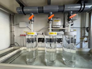 Střední rybářská škola otevřela novou aquaponickou učebnu