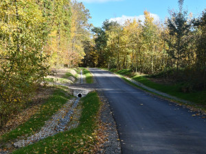 Město se pochlubilo vyasfaltováním lesních cest. Veřejnost to tvrdě odsoudila