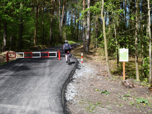 Město se pochlubilo vyasfaltováním lesních cest. Veřejnost to tvrdě odsoudila