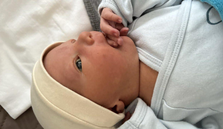 Prvním miminkem centrálního plzeňského obvodu je Mark Golovko, narodil se 3. ledna ve 12:37 v Mulačově nemocnici.