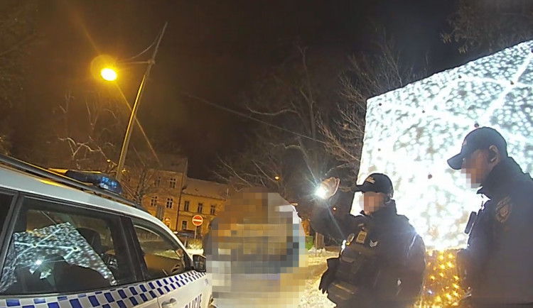 Perníkovou chaloupku za milion poničil mladý vandal. Hlavou prorazil dveře