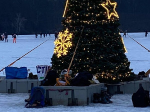 Strom na Borské přehradě, foto: MO Plzeň 3