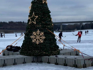 Strom na Borské přehradě, foto: MO Plzeň 3