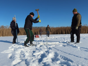 Zamrzlý rybník umožnil zatlouct trubky do dna. Vznikne hnízdní ostrůvek pro racky