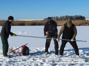 Zamrzlý rybník umožnil zatlouct trubky do dna. Vznikne hnízdní ostrůvek pro racky