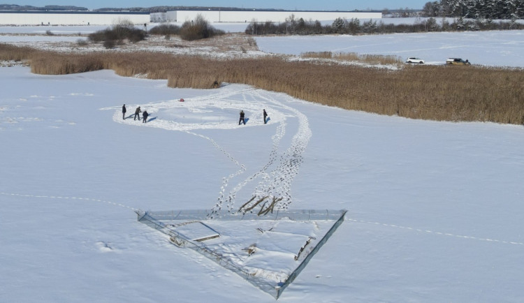 Nový a chráněný hnízdní ostrůvek vzniká nedaleko od již staršího oploceného ostrůvku