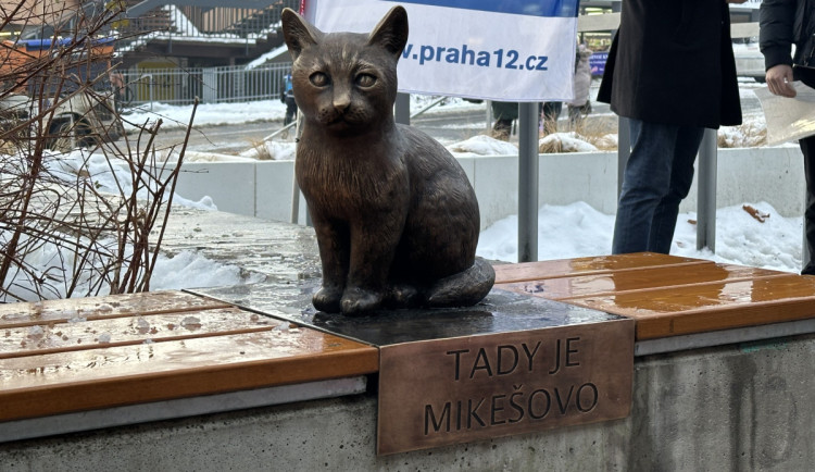 Legendární modřanský kocour Mikeš má svou sochu, složily se na ni stovky lidí
