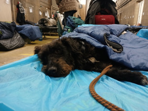 Nouzové nocležiště využily stovky bezdomovců, zdravotnicí provedli přes tisíc výkonů