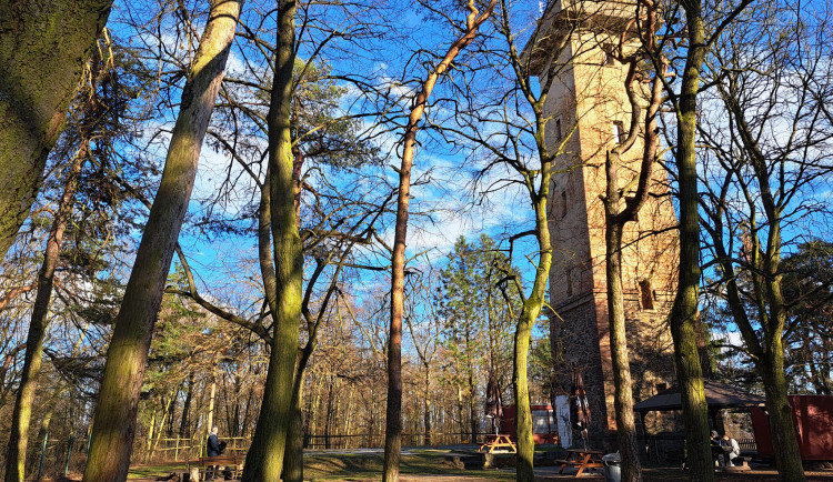 Rozhledna Chlum u Plzně se vydražila za 4,5 milionu Kč, stojí na pozemcích města