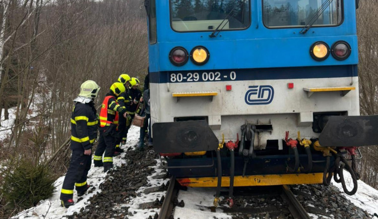 Na Bruntálsku rychlík srazil koně. Ze 43 cestujících se nikdo nezranil, zvíře nepřežilo