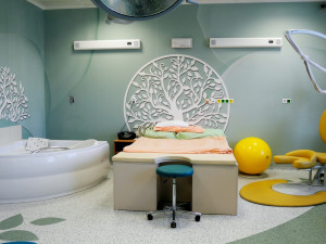 V plzeňské porodnice přišlo loni na svět 2,5 tisíce dětí. Nejmenším byl chlapec s váhou 700 gramů