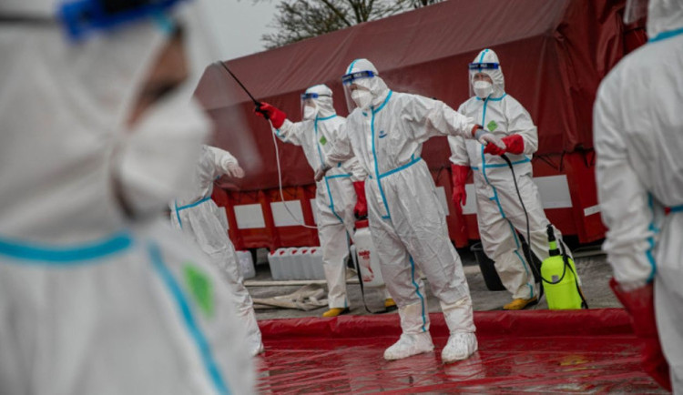 Ptačí chřipka zasáhla další malochov. Nakažené ptáky bylo nutné okamžitě utratit