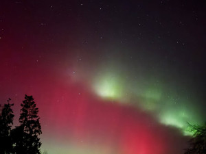 Daniela Oračko, Mirošov