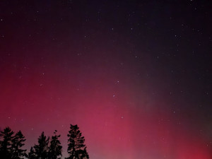 Daniela Oračko, Mirošov