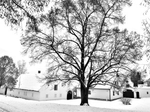 Slavný a velmi cenný statek U Matoušů se stal součástí Národního muzea v přírodě