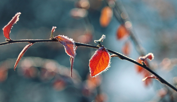 Na Šumavě ráno klesly teploty k minus 30 stupňům, mrznout bude i přes den
