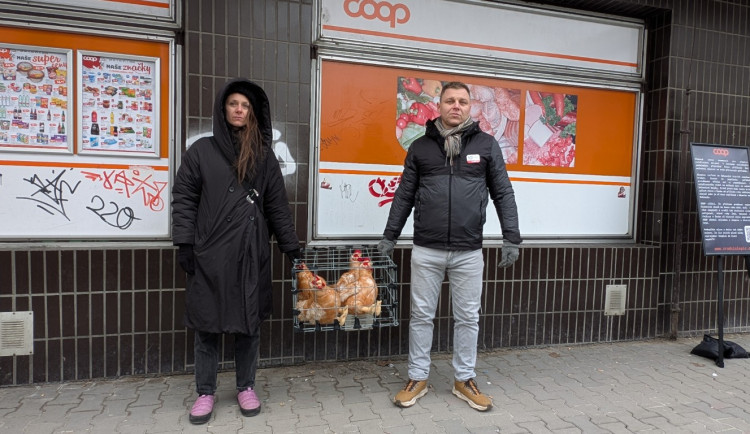 Ochránci zvířat protestovali v Plzni kvůli prodeji vajec z klecového chovu