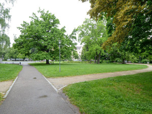 Velkou proměnou má projít náměstí Míru. Čeká se na návrhy architektů