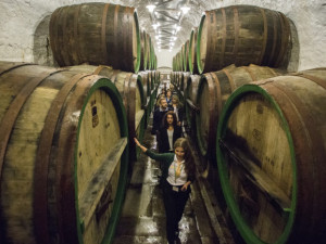 Slavný pivovar loni navštívilo více než půl milionu lidí. Převládají mezi nimi cizinci