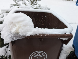 Hnědé popelnice na bioodpad brzy zmizí, naopak přibudou velkoobjemové kontejnery