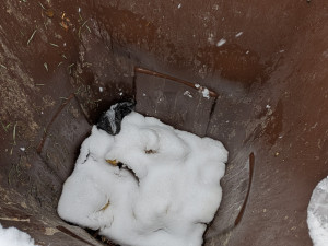 Hnědé popelnice na bioodpad brzy zmizí, naopak přibudou velkoobjemové kontejnery