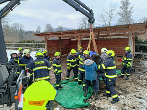 Kůň upadl na zem a nedokázal vstát. Na pomoc přijeli hasiči s hydraulickou rukou