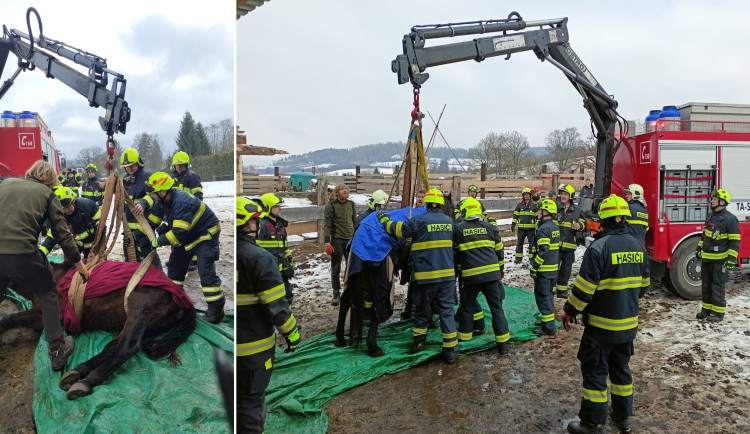 Hasiči zachraňovali koně pomocí hydraulické ruky