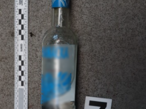 Zfetovaný muž ukradl autobus a havaroval, případ má překvapivé pokračování