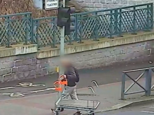 Brázdil ulice města s vozíkem z hobby marketu. Jen jsem si ho půjčil, tvrdil