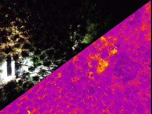 Pohled z dronu termovize