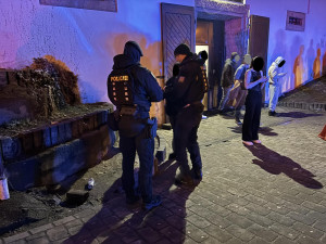 Během obří šťáry policisté zkontrolovali 1 035 osob, z toho 620 cizinců