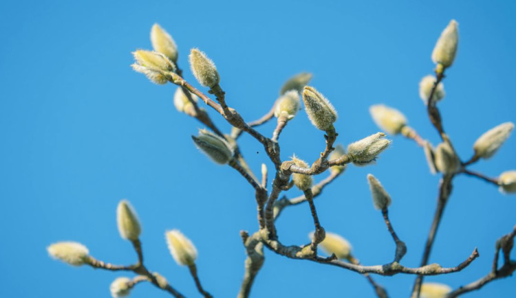 Vysočinu čeká v tomto týdnu oteplení, meteorologové varují před rizikem povodní