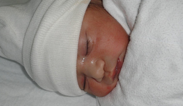 ilustrační fotografie