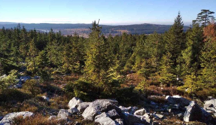 Hluboko pod povrchem nenápadného vrchu Kočka se ukrývá jedinečné naleziště zkamenělin