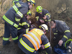 Hasiči bojují o život loveckého psa, který zmizel v jezevčí noře. Pomáhá jim i bagr