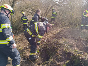 Hasiči bojují o život loveckého psa, který zmizel v jezevčí noře. Pomáhá jim i bagr