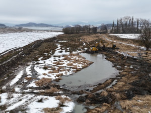 Mokřad vznikl v důsledku činnosti bobra. Území už se díky úpravám nebude rozšiřovat