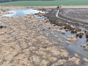 Mokřad vznikl v důsledku činnosti bobra. Území už se díky úpravám nebude rozšiřovat