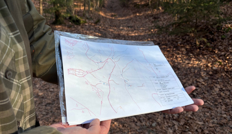 Přívaláky už Lesní koupaliště bahnem nezatopí. Liberec chystá v lesích okolo vodozadržná opatření