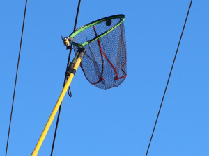 Sýkora visela na vlasci z drátů vysokého napětí. Na pomoc vyjížděli hasiči i energetici