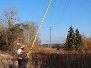 Sýkora visela na vlasci z drátů vysokého napětí. Na pomoc vyjížděli hasiči i energetici