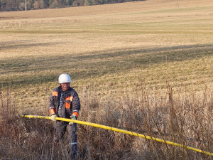 Sýkora visela na vlasci z drátů vysokého napětí. Na pomoc vyjížděli hasiči i energetici