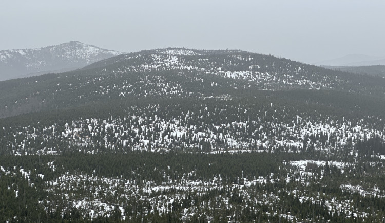 Otevření Modrého sloupu znovu posoudí Správa Národního parku Šumava.