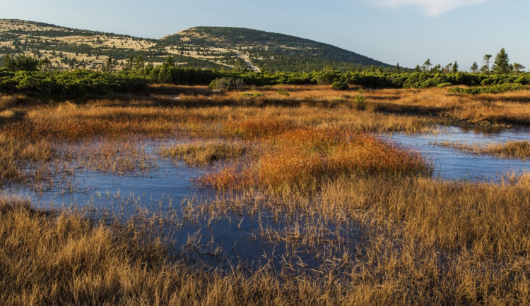 Úpské rašeliniště v Krkonoších bude jedním z nejlépe sledovaných na světě