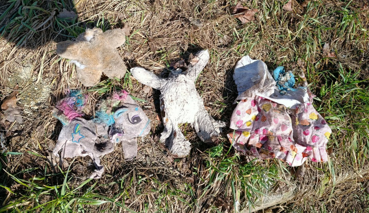 Nevychovaní návštěvníci v zoo přišli s novinkou, hází do výběhu nevhodné hračky