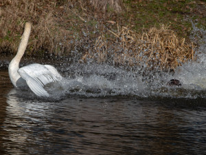 Neúspěšný doskok