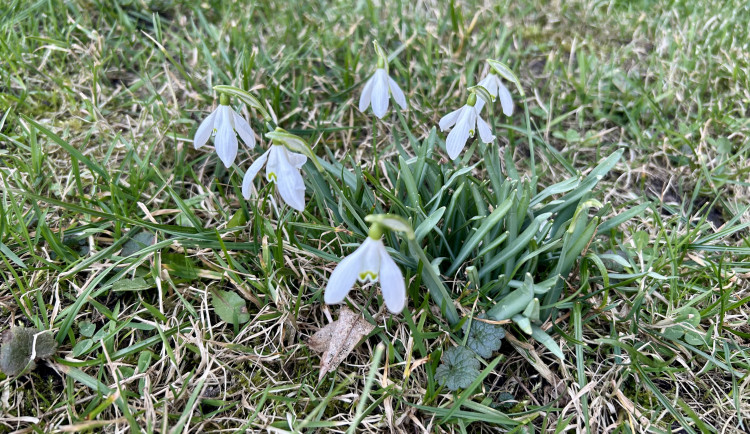 Slunečný začátek víkendu vystřídá ochlazení. V neděli dorazí déšť